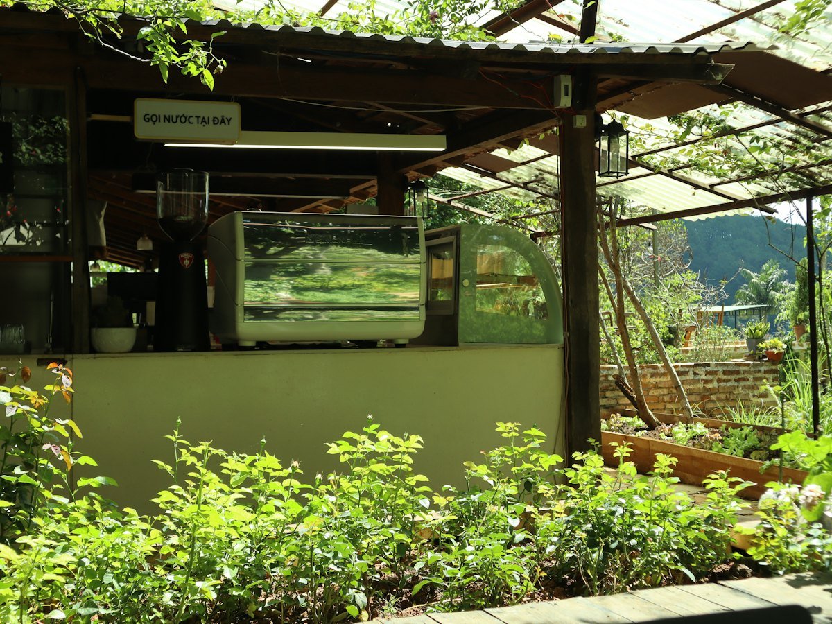 An open-air coffee counter under a timber roof, espresso machine and grinder behind a planted garden bed.